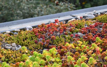 the cost of Thorney Toll green roof installation