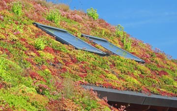 Thorney Toll living roof systems